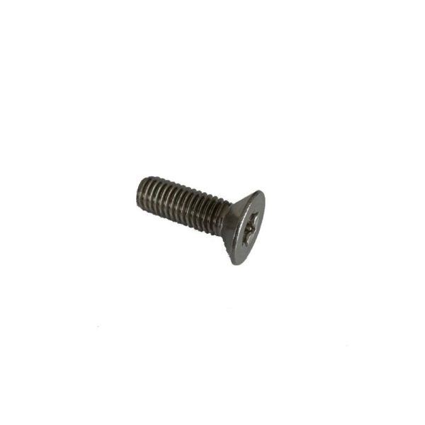 SCREW TORX M6 x 20